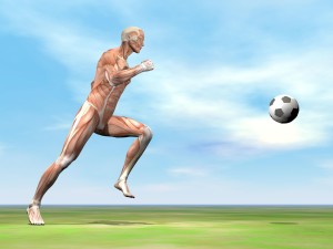 soccer-human-body-knee injury