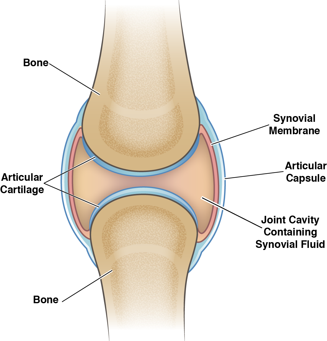 fractură a antecedentelor medicale ale articulației umărului cremă sau unguent pentru dureri articulare