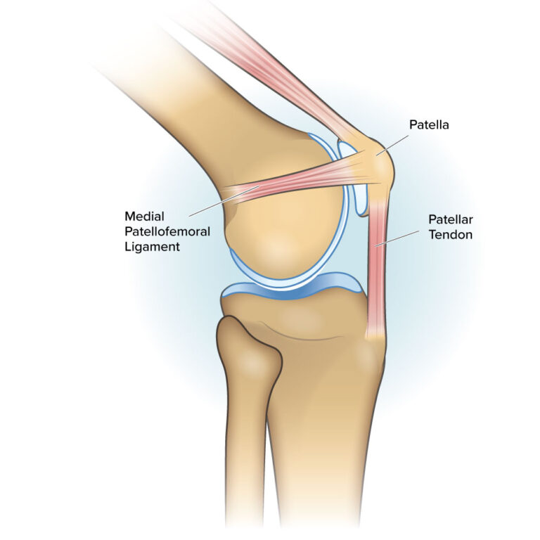 Your Patellofemoral Ligaments and Cartilage Spring Loaded Technology